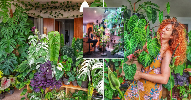Plant Lovers