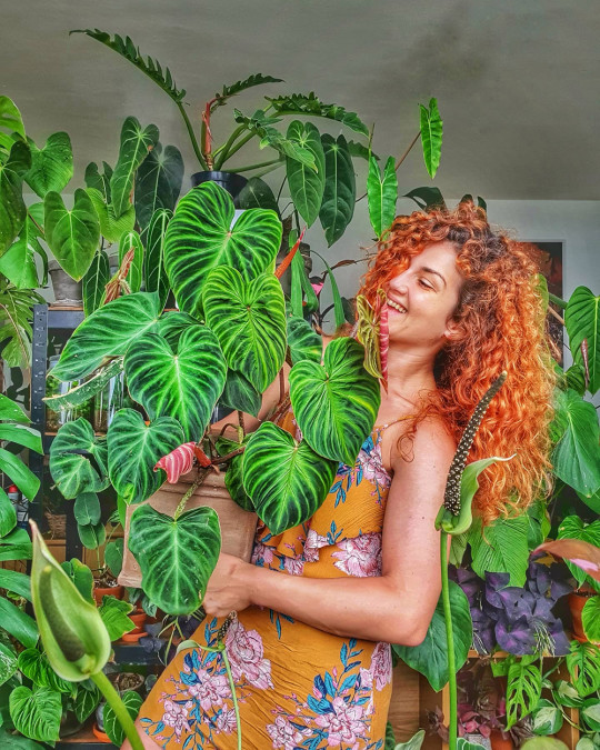 She Started Collecting Plants In 2017