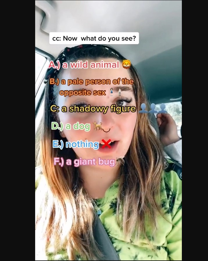 The Options 2