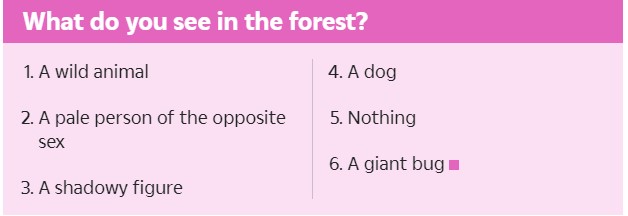 The Options