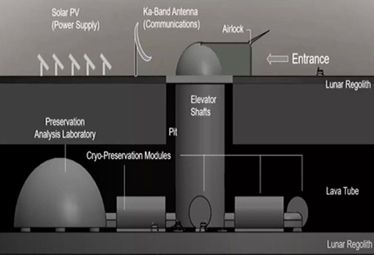 Sperm Bank On The Moon 2