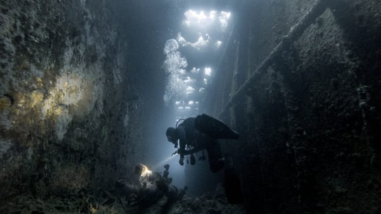 Diver