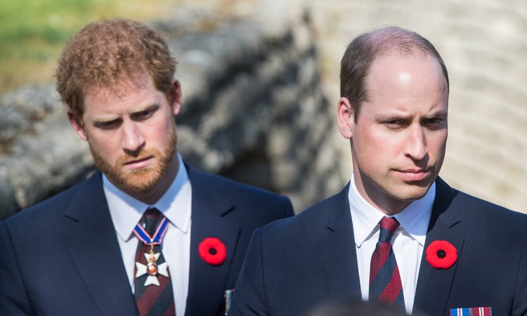 Prince Harry Prince William Remembrance Day T