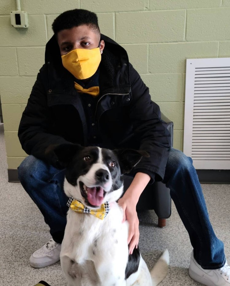 Darius and homeless dog