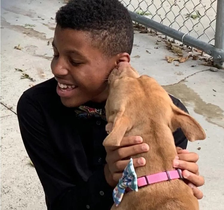 Darius And A Homeless Dog