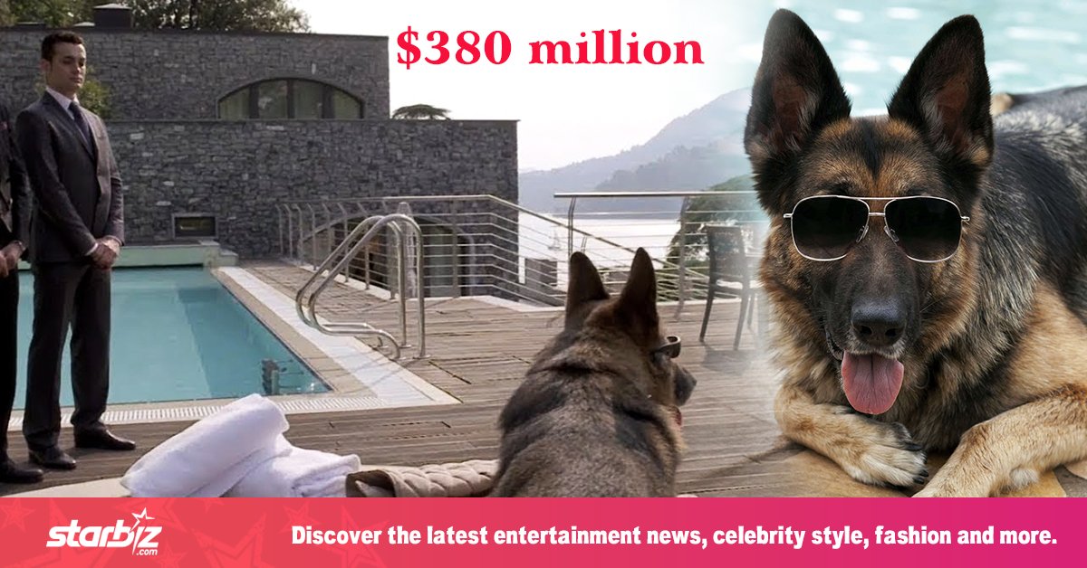 second richest dog in the world